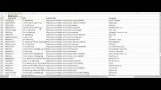 VP (Marketing) USA email list