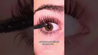 The best lash serum to fast results