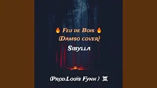 Feu de bois