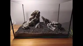 Iwagumi - start nowego akwarium krok po kroku / epoka akwariowa