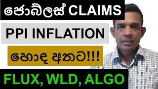 ජොබ්ලස් CLAIMS සහ PPI INFLATION හොඳ අතට!!! | FLUX, WLD, AND ALGO