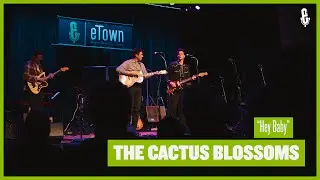 The Cactus Blossoms - 