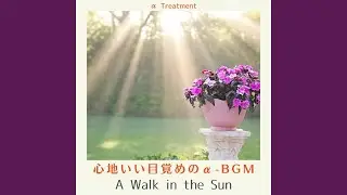 The Refreshing Start