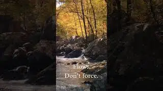 Flow. Don't force.