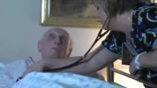 The 