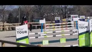 Joker du Cerisier - Mars 2025