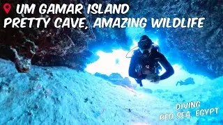 Um Gamar Island, Red Sea, Egypt - Beautiful Small Cave with Amazing Wildlife in the Shallows