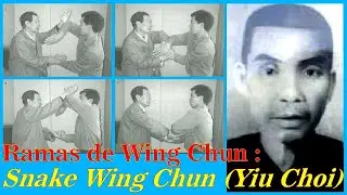 Ramas del Wing Chun : Snake Wing Chun (Yiu Choi)