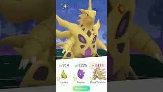 Shiny Mega Tyranitar Evolution Line vs TGR Leader Cliff in Pokemon GO.