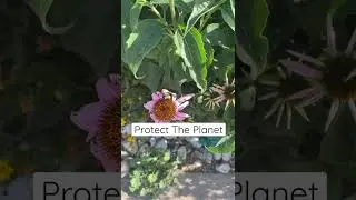 Protect the planet | climate protection | climate justice