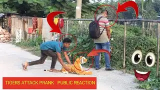 Fake Tiger Prank 😂 on Cute Boy | Fake Tiger vs Man Prank Video|  ITC PRANK  | 2025|