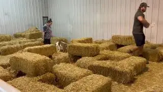 TPCH 9 Barn Hunt