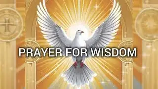 Seeking God's wisdom for daily life |Bible verses 