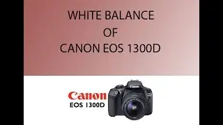 EOS 1300D WHITE BALANCE USING