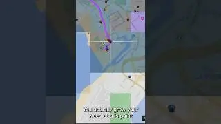 RP FiveM | Как выращивать травку &mdash; подземный сервер GTA Online