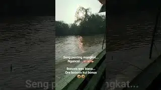 semangat selalu ,kita jemput sicapit biru #shorts  #mancingudang b#mancing