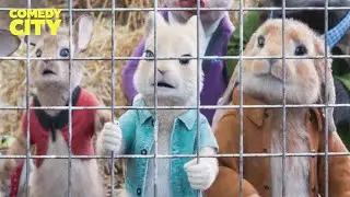 Peter Rabbit&rsquo;s Friends Get Caught | Peter Rabbit 2 (James Corden, David Oyelowo)