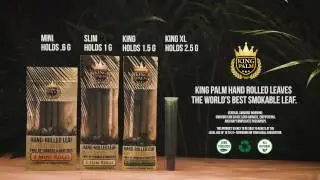 King Palm Leaves How To Roll