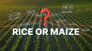 Build a Crop Suitability Model with Machine Learning
