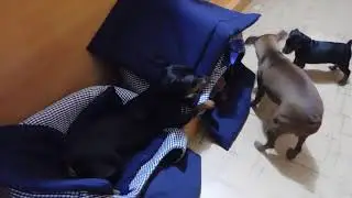 DSCN0102