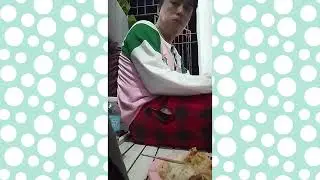 lolo maxi and lola stefa grave and my evening eating video