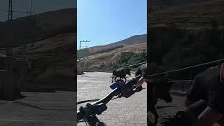 Mtb turumuzda Beklenmedik Misafir 😂😂😂 #mtb #ebike #mountainbike #mtblife #enduro #cycling