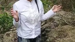 how do you tell what type of phoenix mountain oolong tea it is
