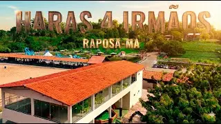 HARAS 4 IRMÃOS EM RAPOSA-MA