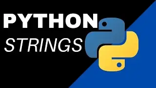 How Strings in Python Work?