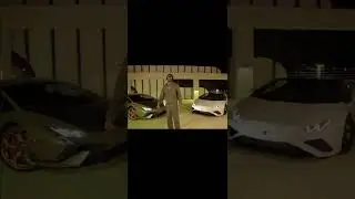 Новая песня Alkaline 