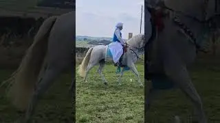 Spanish horse love's a good rider. spot the rider.yes it's ch khalid from noorjmal