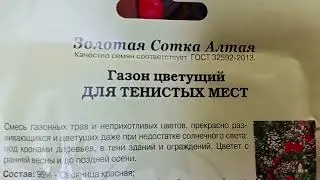 Газон для тенистых мест