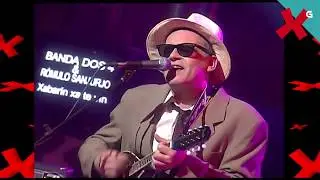 Oinkplugged - Concerto Completo