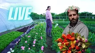 It Finally Rained, And Other News From The Farm