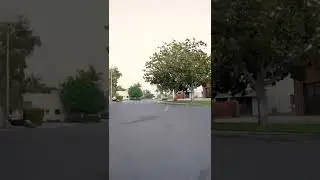 Best Fireworks- Gold Top Soda Can