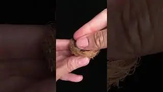 🪺 NEST WITH EGGS 🪺  you can make this too...