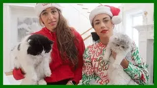 Wrapping Christmas
