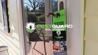 What to Expect- Pest Control Service