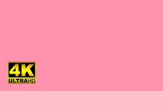 BAKER MILLER PINK screen 🌈 led lights 10 hours - 4k
