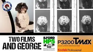 PULLING KODAK TMAX 3200 | Shih Tzu George Portrait