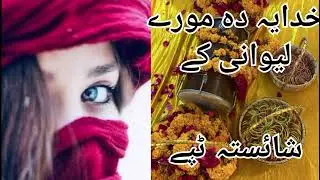 Kudaya Da Mori Lewani ki Mayan Pi Zayam Osi Balta Werkawina Lila