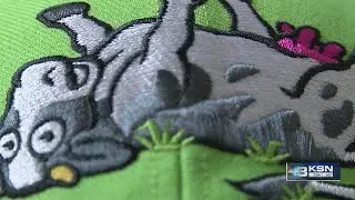 What is this new Wind Surge logo? What do you think it is?