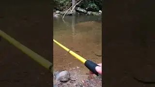 ЛУЧШАЯ ПРИМАНКА ДЛЯ ФОРЕЛИ