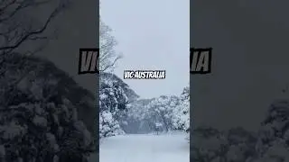 Winter In Regional Victoria 🇦🇺 Vlog on channel #snow2023 #winter2023  #snow #victoriasnow #vlog