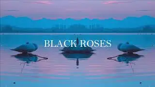EXD! & Daniel Klaus - Black Roses (Official Audio)