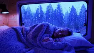 Deep Sleep Rain Ambience with Soft Thunder Inside a Calm and Cozy Camper Van