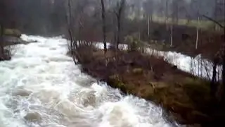 gjesdalselva@vassenden i J&oslash;lster 1. november 2017