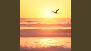 Be Kind