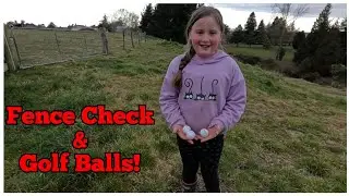 Lower Paddock Fence Check For Spring & Finding Golf Balls!
