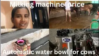 #kannada vlogs #Milking machine price#Automtic water bowl for cows